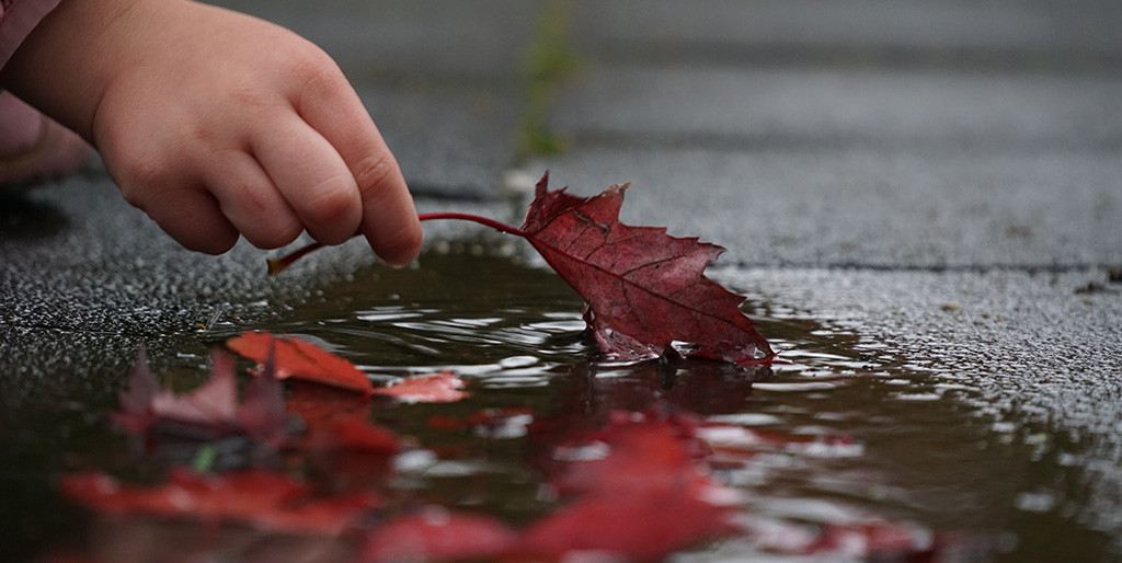 Eine Kinderhand nimmt ein rotes Herbstblatt aus einer Pfütze - ein Suchender für die Wunder des Alltags.